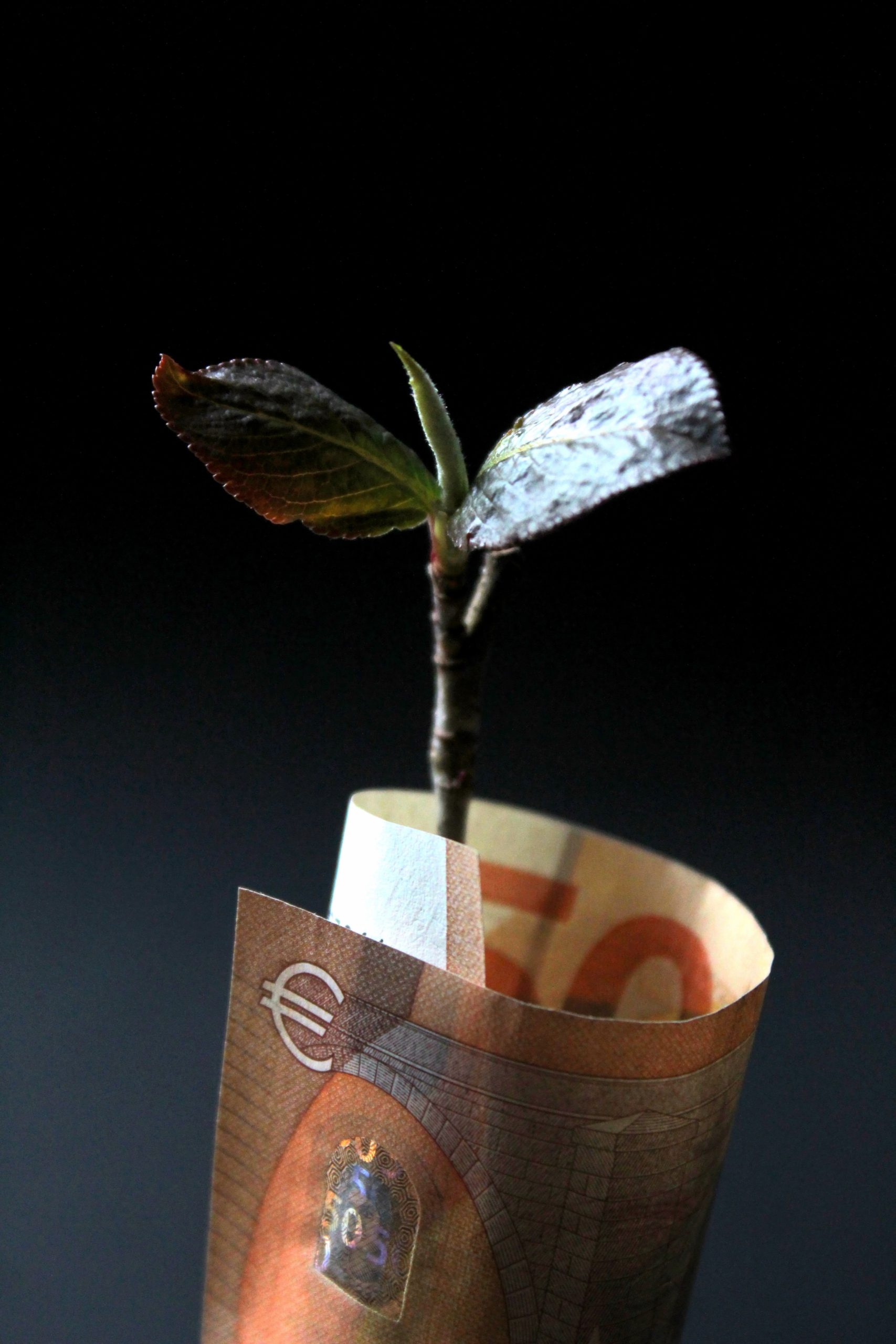 Find out if the three-fund portfolio is right for you. This simple investment strategy requires little maintenance and has a strong track record of success.