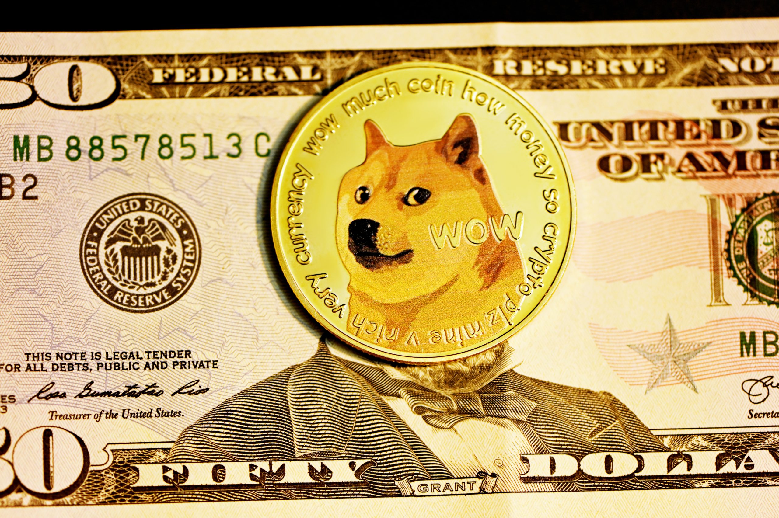 5 Cryptocurrencies to Invest In If You're Ready for a Risky Investment