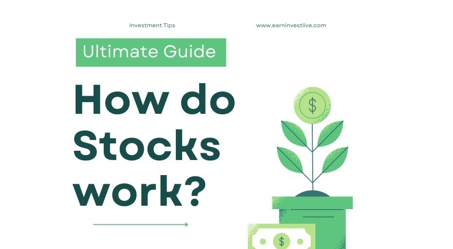 How Do Stocks Work? The Ultimate Guide to Understanding How the Stock Market Works